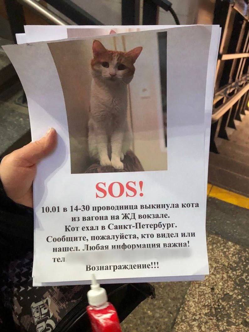 Численность армии рф. Периоды службы в армии по призыву. Зарплата военнослужащих. Сроки военной службы. Поднимут ли срок службы.